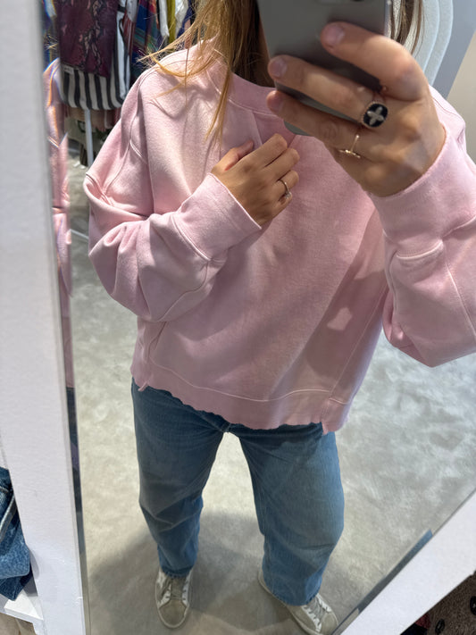 Sweat rose Alba