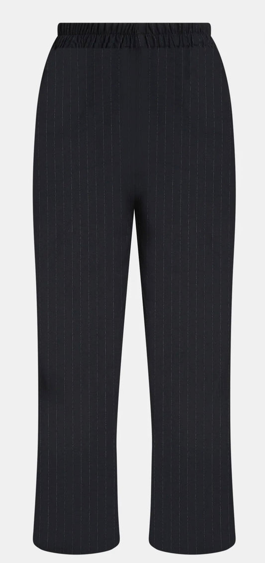 Pantalon marine à rayures