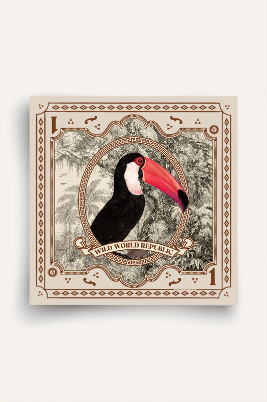WWR Toucan