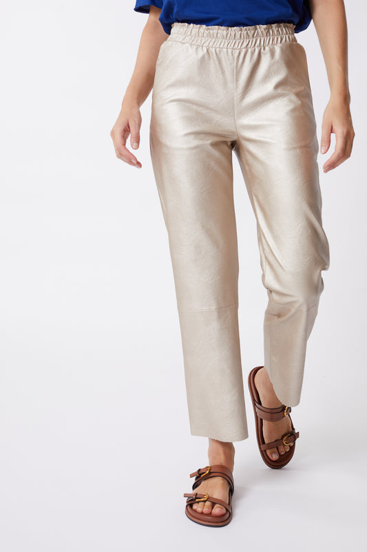 Pantavegan Champagne